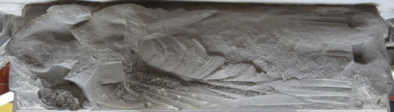 St Davids - St Davids Cathedral Giraldus Cambrensis 1147-1223